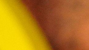 Sydney Sweeney había grabado una escena para el inicio de la película.