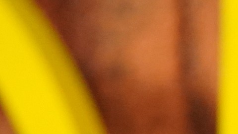 Sydney Sweeney había grabado una escena para el inicio de la película.