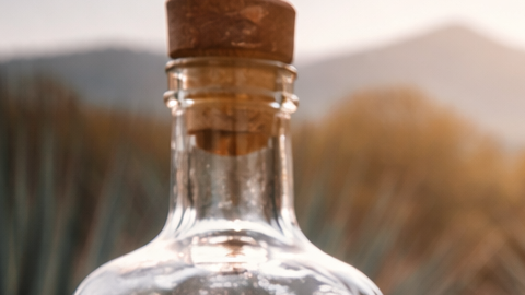 Vasos de tequila con limón y sal sobre mesa de madera, con botellas y plantación de agave al fondo