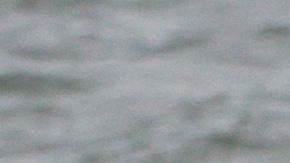 Ballena