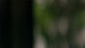 La comedia asiática espera atrapar a la audiencia global nuevamente.