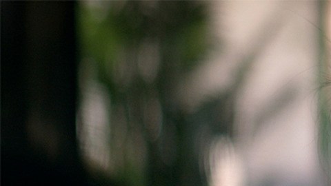 La comedia asiática espera atrapar a la audiencia global nuevamente.