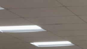 Trader Joe's lleva años creciendo de forma constante en un momento en que las familias hispanas, enfrentan presupuestos más ajustados.