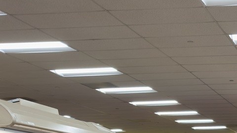 Trader Joe's lleva años creciendo de forma constante en un momento en que las familias hispanas, enfrentan presupuestos más ajustados.