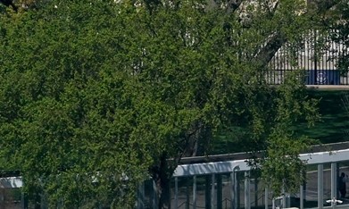 Tribunal permite a Trump seguir con su polémico salón de baile en la Casa Blanca