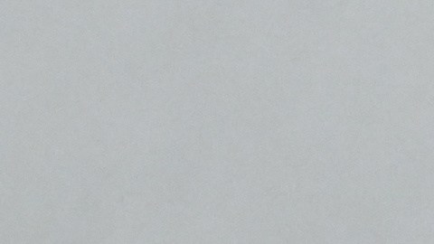 Zoe Saldana forma parte de la lista de 100 personas más influyentes de la revista Time.