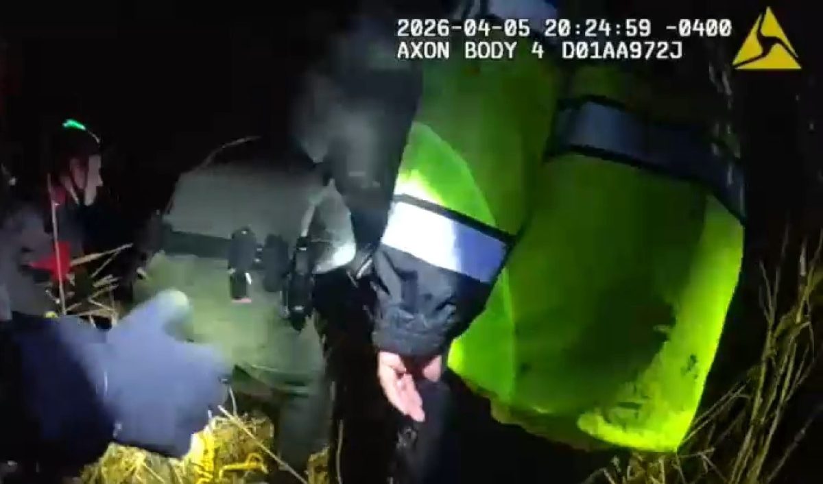 Angustioso rescate de quinceañero atrapado en el lodo en bosque de Nueva York: video