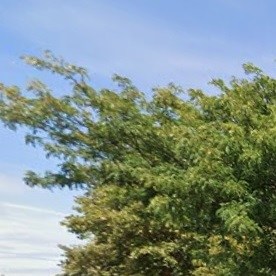 College Point Blvd, Queens, NYC.