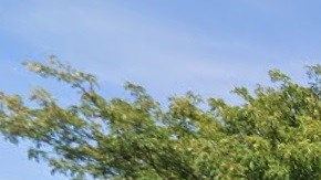 College Point Blvd, Queens, NYC.