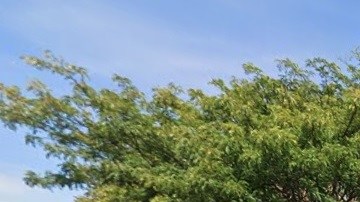 College Point Blvd, Queens, NYC.