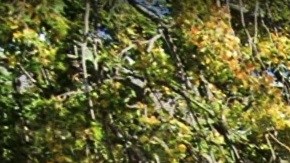 Freeport Village Court, condado Nassau, Long Island, NY.