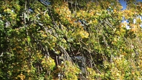 Freeport Village Court, condado Nassau, Long Island, NY.