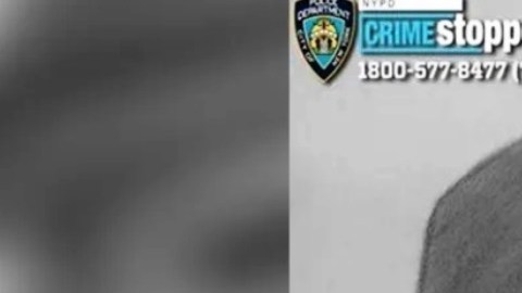 Retrato hablado del sospechoso de abuso y robo a una mujer en El Bronx (NYC).