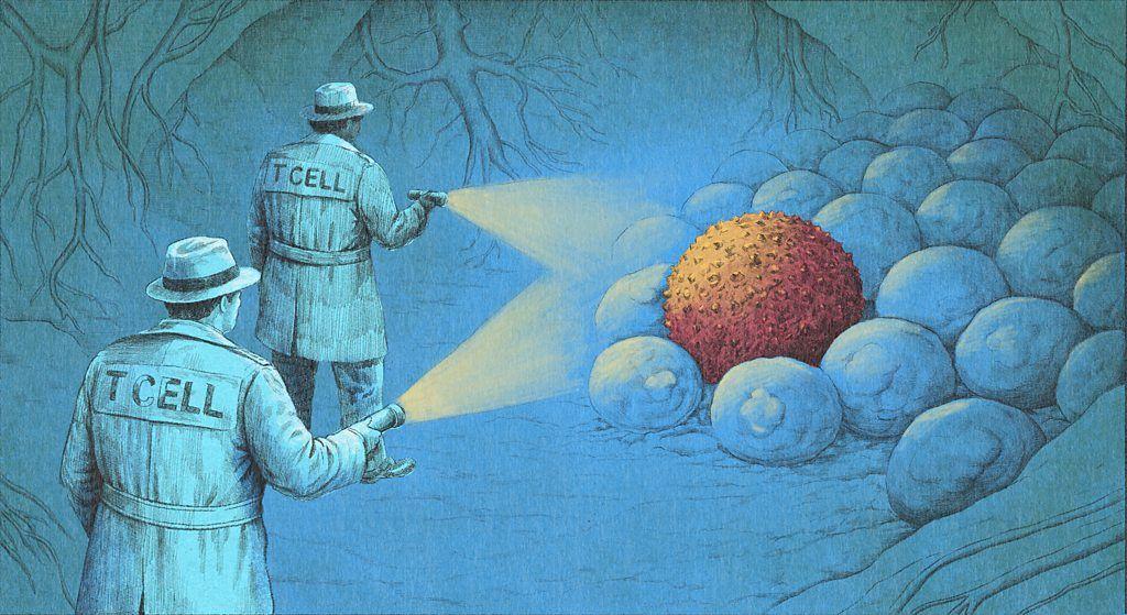 El futuro del cáncer: Inmunoterapia como alternativa innovadora