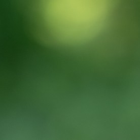 La sandía contiene citrulina, un aminoácido que contribuye a una mejor circulación sanguínea, favoreciendo las erecciones.