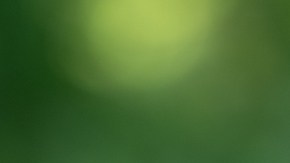 La sandía contiene citrulina, un aminoácido que contribuye a una mejor circulación sanguínea, favoreciendo las erecciones.