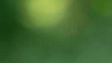La sandía contiene citrulina, un aminoácido que contribuye a una mejor circulación sanguínea, favoreciendo las erecciones.