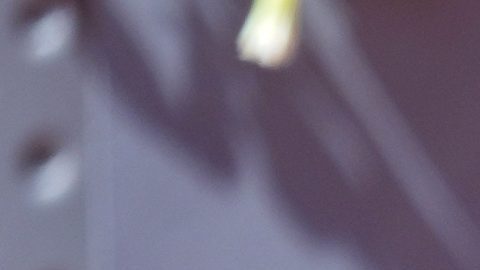 Coco Gauff, de Estados Unidos, recibe atención médica durante su partido contra Sorana Cirstea, de Rumania, en el torneo de tenis Mutua Madrid Open, el domingo 26 de abril de 2026, en Madrid.