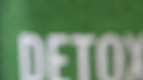 tasa de té verde, en infusión y en polvo