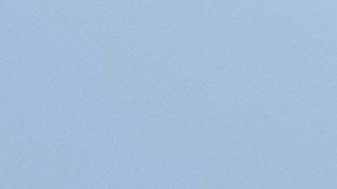 Detenido peleador cubano de MMA.