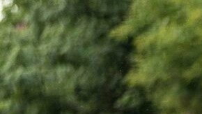 Foto de archivo de empleados del NYC DOT distribuyendo cascos de bicicleta gratuitos en el evento ‘Summer Streets’ de Manhattan en el 2023.