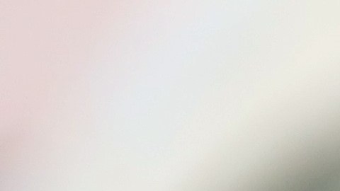 Cada estado tiene sus propias reglas, pero las básicas generalmente son iguales. Los tiempos y costos para generar una nueva licencia de conducir también pueden variar.