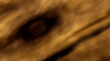 Hay quienes ven los lunes con sentimiento traumático, incluso existen personas que pasan todo el domingo tristes, tan solo pensando en el inicio de la semana.
