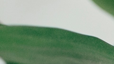 Elegir el tipo de magnesio adecuado es importante, ya que existen distintas presentaciones con diferentes niveles de absorción.
