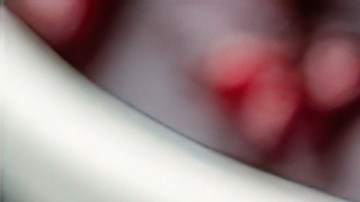 Verifica los envases de Quality Meat Sky Ranch en tu hogar. Identifica los lotes afectados por sésamo no declarado y sigue las recomendaciones de prevención para evitar reacciones alérgicas.