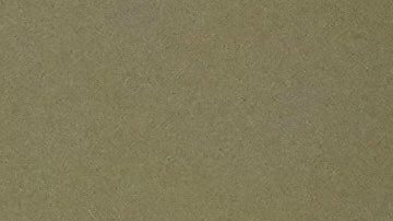 El entrenador en jefe de los New England Patriots, Mike Vrabel.