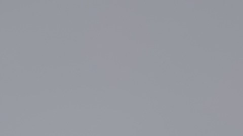 El dolor que se experimenta durante una migraña, a menudo puede ser pulsátil o palpitante, generalmente en un solo lado de la cabeza.