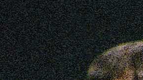 Mariscal de campo suplente de Nueva York, Browning Nagle (8).