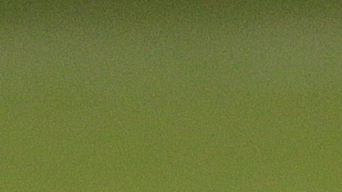 Shunsuke Nakamura durante su época de jugador en 2010. Imagen referencial.