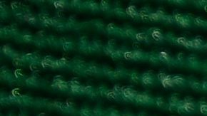 Muerte de Chris Payton-Jones.