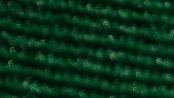 Muerte de Chris Payton-Jones.