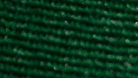 Muerte de Chris Payton-Jones.