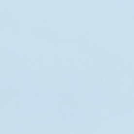 Muchos latinos están
buscando nuevos
horizontes ante lo
costosa que se ha
vuelto la ciudad.