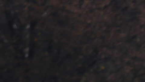 Javier Ortega asesinado en Ecuador.