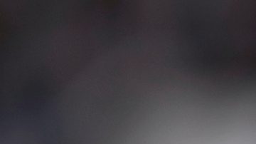 La reportera Dianna Russini renuncia.