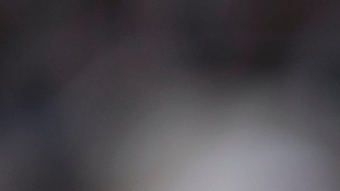 La reportera Dianna Russini renuncia.