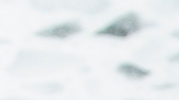 Rápida, pero bajo la lupa. Aunque son la solución perfecta para el hambre inmediata, los expertos recomiendan revisar la etiqueta nutricional y moderar el consumo de aditivos.