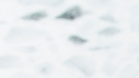 Rápida, pero bajo la lupa. Aunque son la solución perfecta para el hambre inmediata, los expertos recomiendan revisar la etiqueta nutricional y moderar el consumo de aditivos.