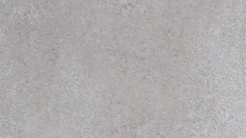 Logo del sistema de Universidad Estatal de NY.