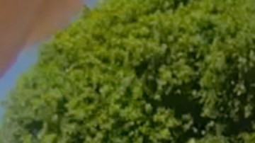 En esta imagen, extraída de un vídeo grabado con la cámara corporal de un agente de policía y difundido por la Oficina del Sheriff del Condado de Martin, Florida, el golfista Tiger Woods realiza una prueba de sobriedad en el lugar de los hechos para los agentes del sheriff tras un accidente de coche en Jupiter Island, Florida, el viernes 27 de marzo de 2026.