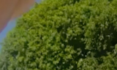 En esta imagen, extraída de un vídeo grabado con la cámara corporal de un agente de policía y difundido por la Oficina del Sheriff del Condado de Martin, Florida, el golfista Tiger Woods realiza una prueba de sobriedad en el lugar de los hechos para los agentes del sheriff tras un accidente de coche en Jupiter Island, Florida, el viernes 27 de marzo de 2026.