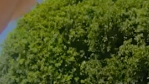 En esta imagen, extraída de un vídeo grabado con la cámara corporal de un agente de policía y difundido por la Oficina del Sheriff del Condado de Martin, Florida, el golfista Tiger Woods realiza una prueba de sobriedad en el lugar de los hechos para los agentes del sheriff tras un accidente de coche en Jupiter Island, Florida, el viernes 27 de marzo de 2026.