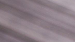 El brócoli forma parte de la familia de los vegetales crucíferos, conocidos por su capacidad para estimular las enzimas de desintoxicación del hígado.