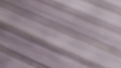 El brócoli forma parte de la familia de los vegetales crucíferos, conocidos por su capacidad para estimular las enzimas de desintoxicación del hígado.