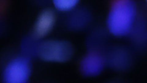 Alberto del Rio "El Patrón" reapareció en la función Triplemanía XXII de la empresa AAA.