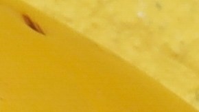 Silueta de un hígado rodeado de semillas, frutas y alimentos de bajo índica glucémico.